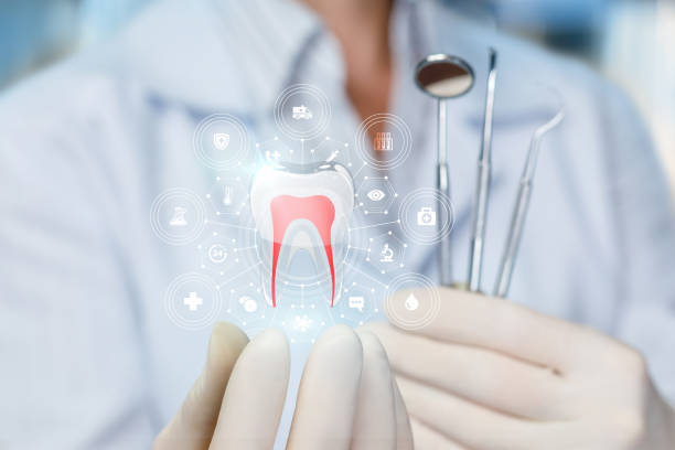 Why Choose Us for Your Dental Needs in Trenton, FL